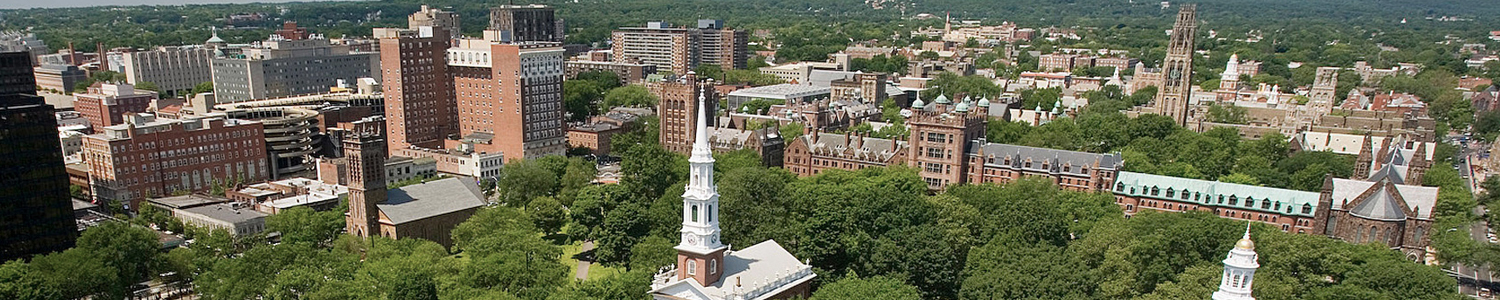 new haven 